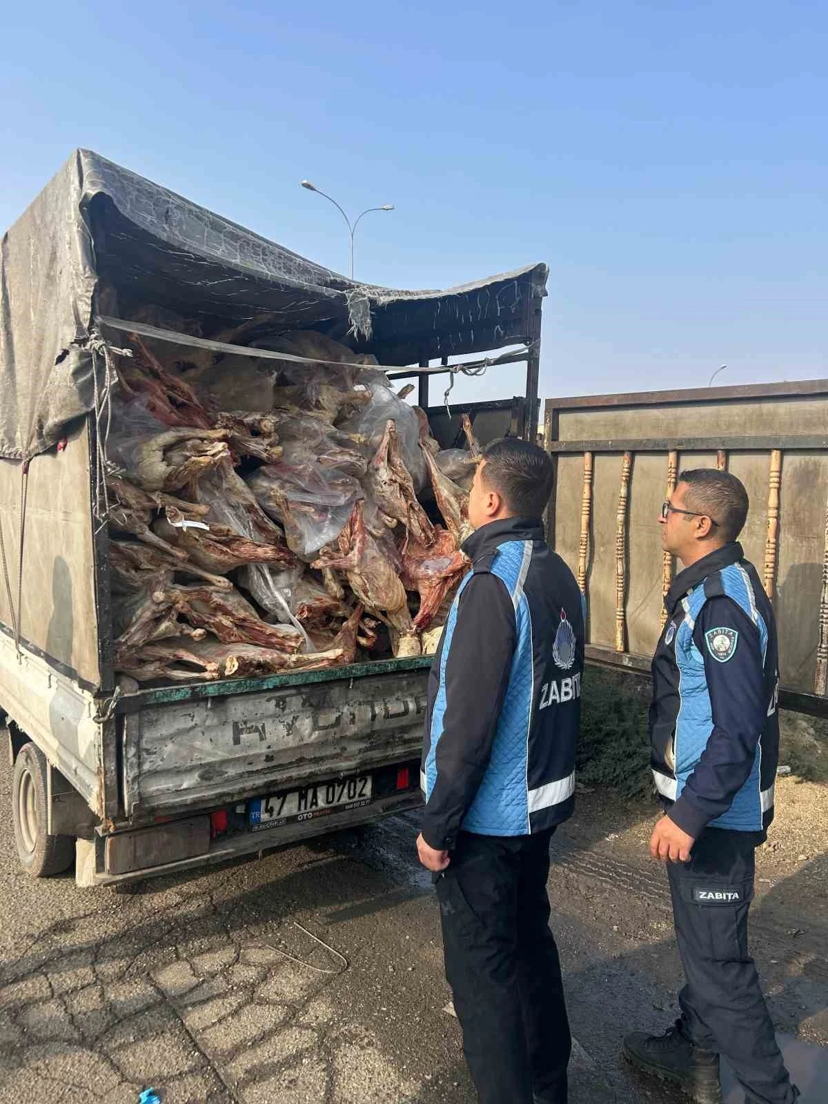 Gaziantep’te kamyonet kasasında kilolarca bozuk et ele geçirildi
