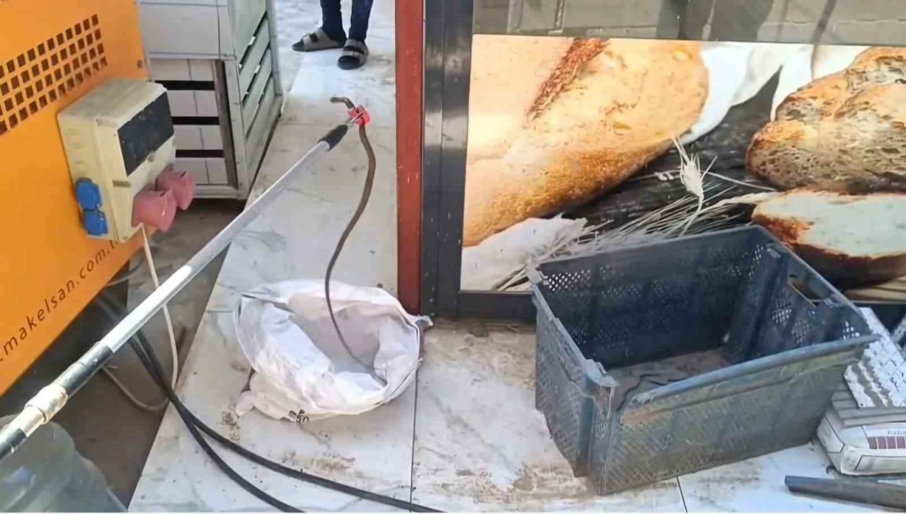 Gaziantep&rsquo;te yerleşim yerinde yılan paniği
