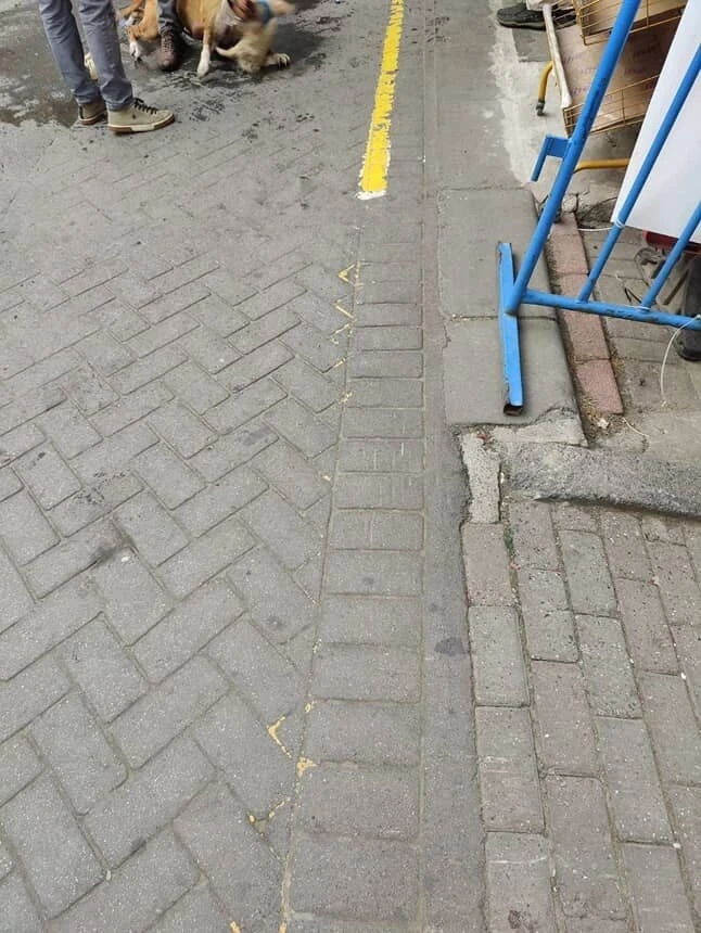 Gaziosmanpaşa’da ağızlıksız gezdirilen pitbull başka köpeğe saldırdı
