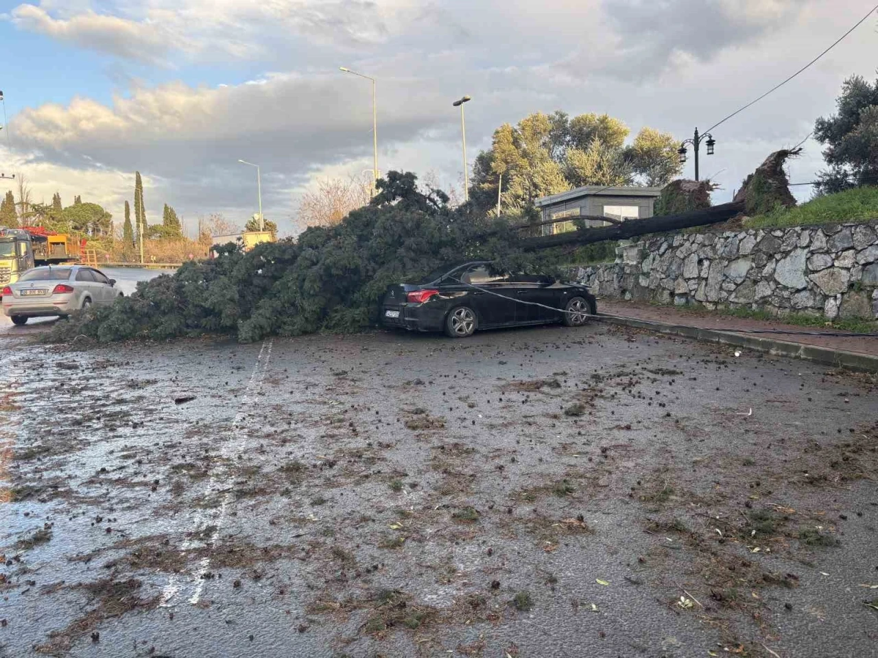 Gebze&rsquo;de fırtınada iki otomobilin &uuml;zerine ağa&ccedil; devrildi
