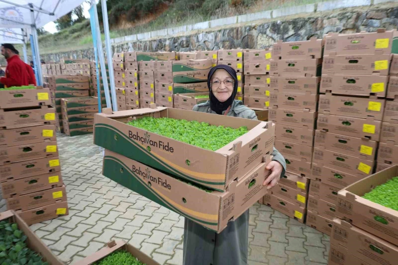 Gebzeli çiftçiye 500 bin sebze fidesi
