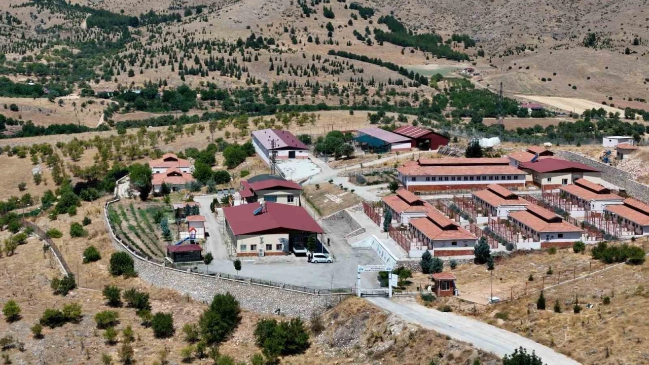 Ge&ccedil;ici Hayvan Bakımevi ve Rehabilitasyon Merkezi&rsquo;nde 15 bin sokak hayvanı tedavi edildi
