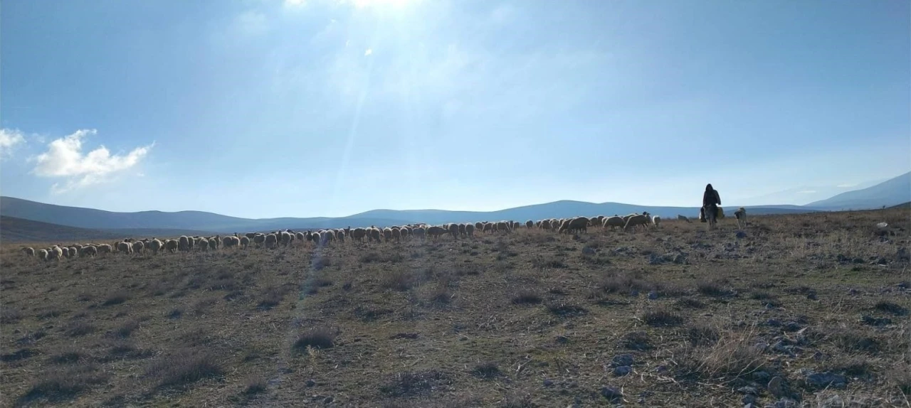Ge&ccedil;ici maden arama izni verilen meralarda kontroller yapıldı
