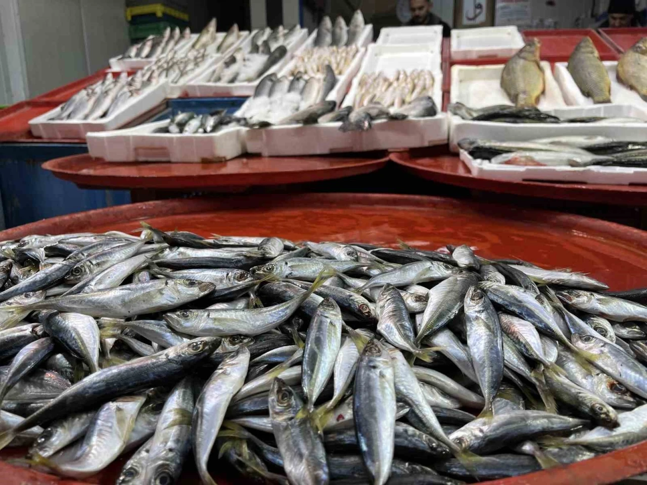 Geciken kış Konya&rsquo;da balığı da vurdu
