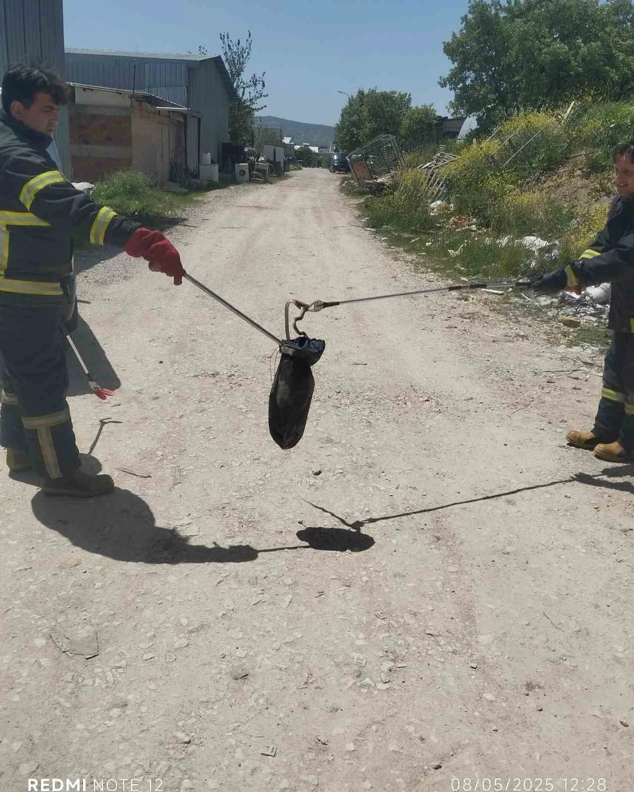 Gediz’de baharın gelmesiyle yılanlar görülmeye başladı
