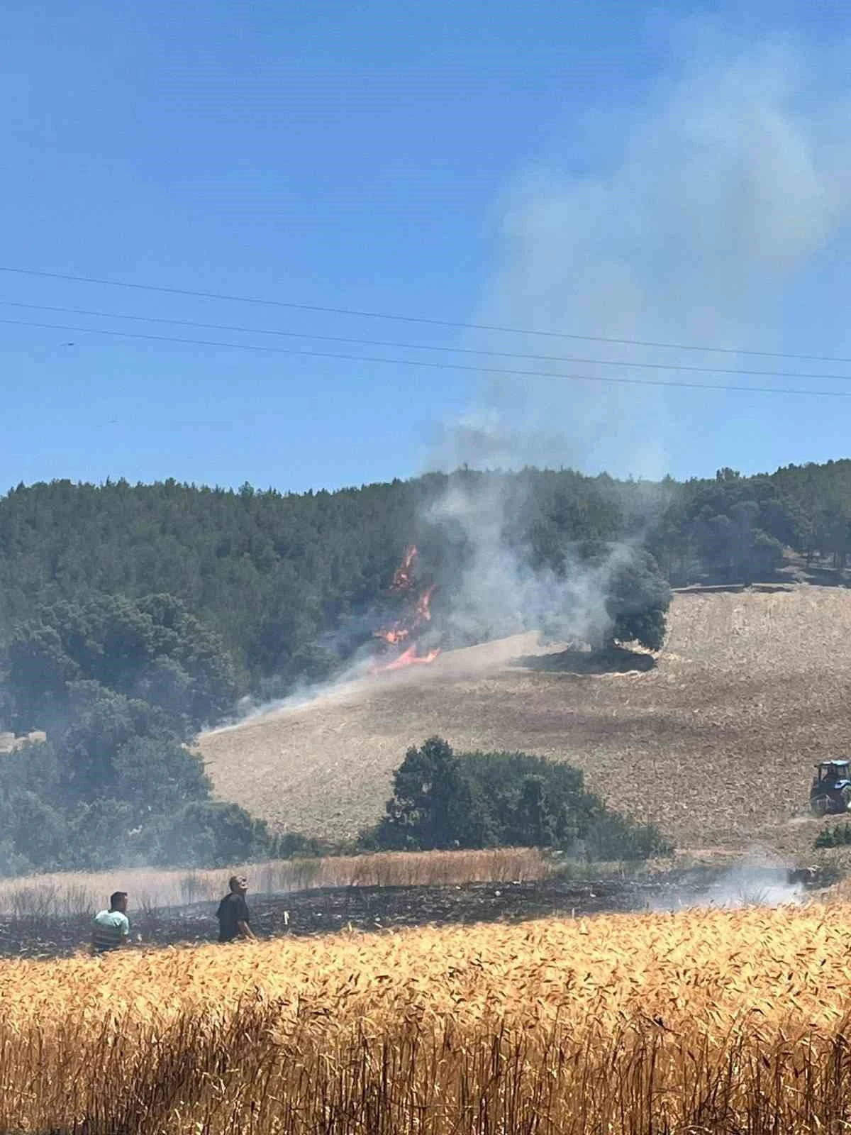 Gediz’de ekiplerin orman yangınıyla mücadelesi sürüyor
