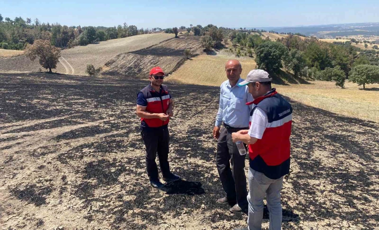 Gediz’de yangından etkilenen alanlar tespit edildi
