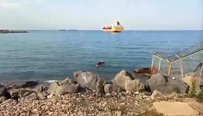 Gemiden denize düşen angus yüzerek karaya ulaştı
