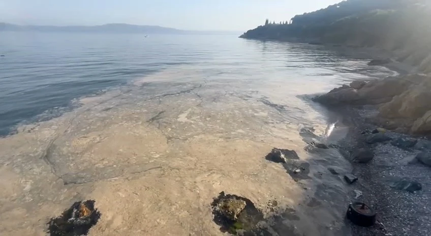 Gemlik’te müsilaj paniği
