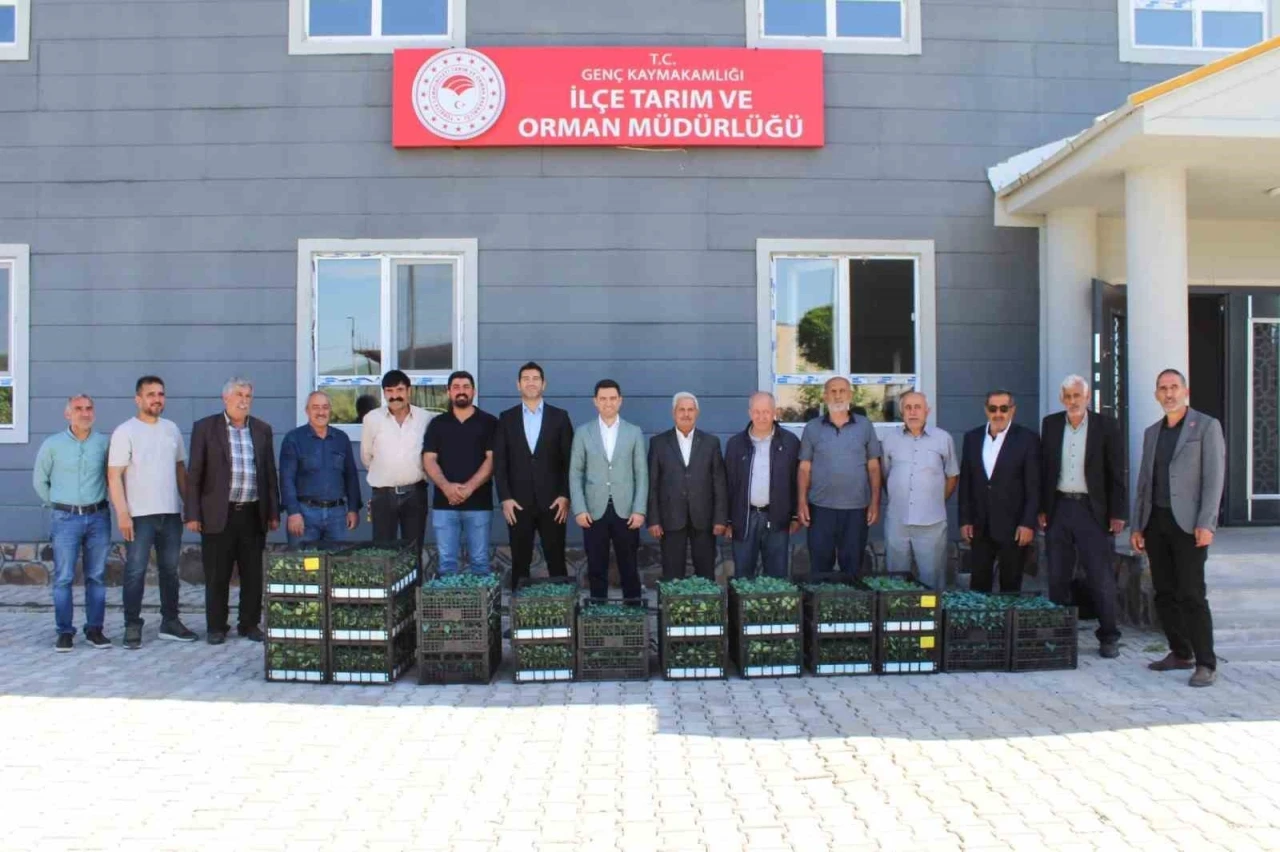 Genç’te üreticilere sebze fidesi dağıtıldı

