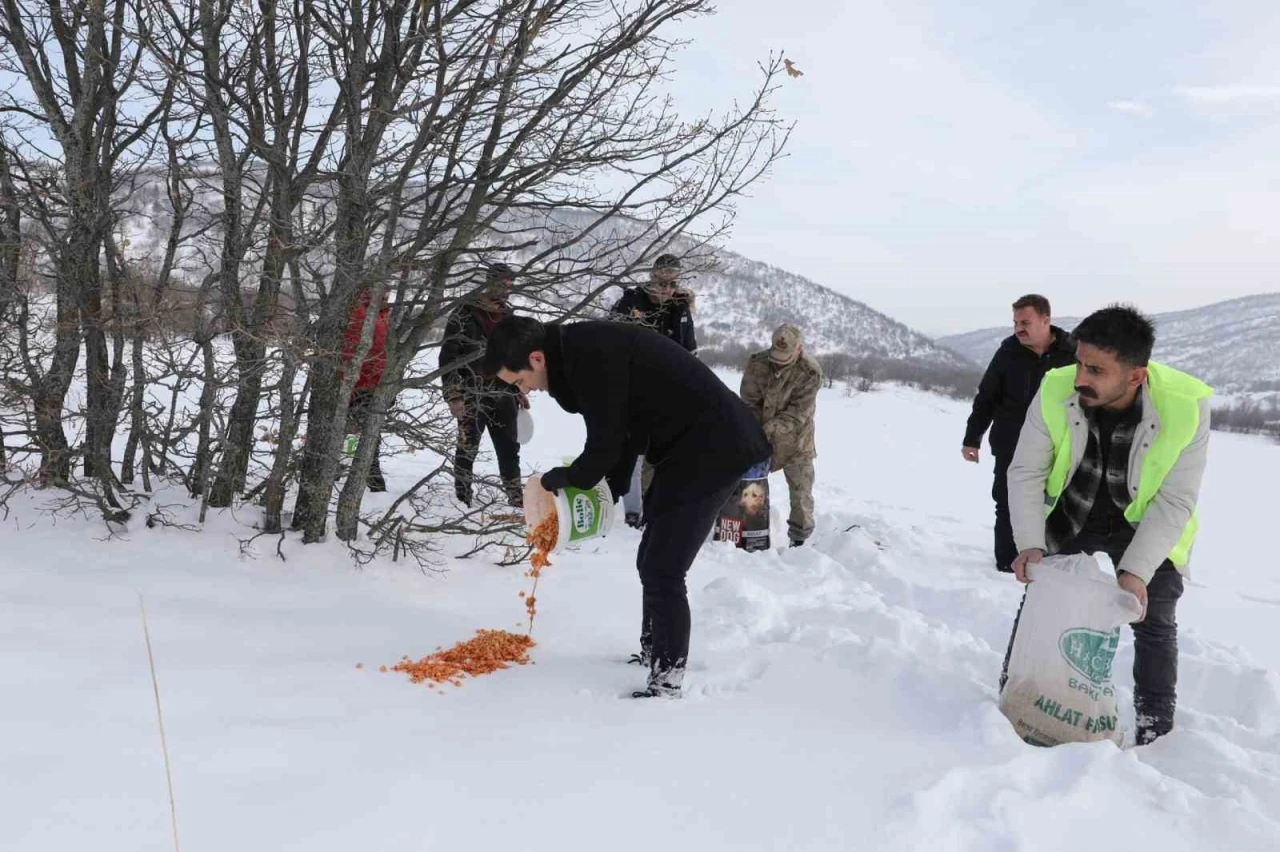 Gen&ccedil;&rsquo;te yaban hayvanları i&ccedil;in doğaya yem bırakıldı
