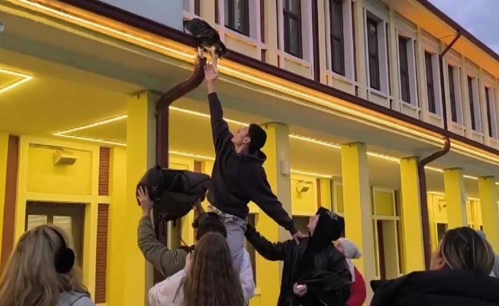 Gen&ccedil;lerin &rsquo;başarısız&rsquo; kedi kurtarma operasyonu kamerada
