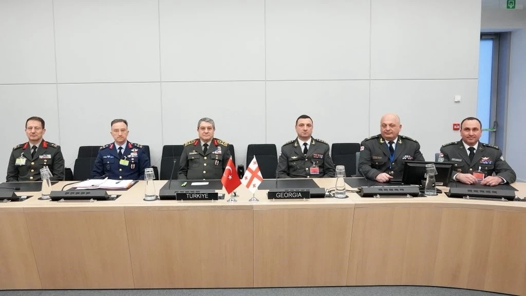 Genelkurmay Başkanı Orgeneral Bayraktaroğlu, G&uuml;rc&uuml; ve Japon mevkidaşlarıyla g&ouml;r&uuml;şt&uuml;

