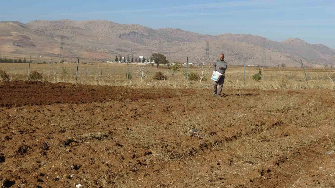 Gercüş’te çiftçiler tohumlarını toprakla buluşturuyor
