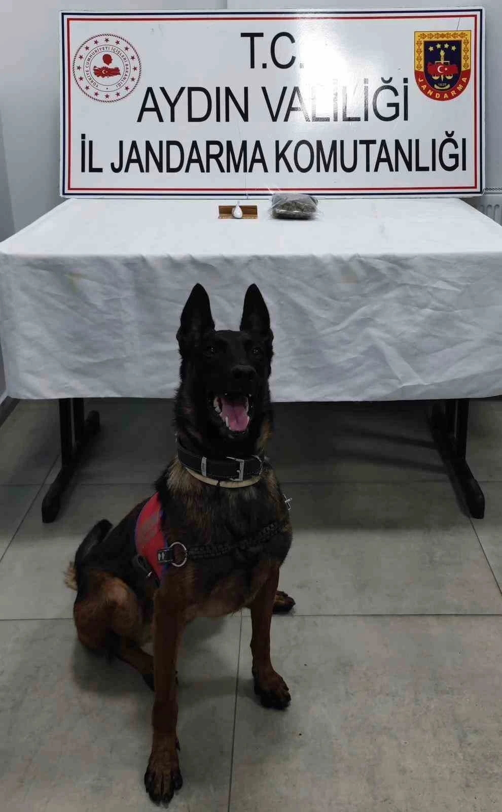 Germencik’te durdurulan araçta uyuşturucu ele geçirildi
