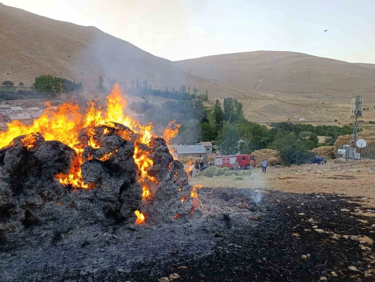 Gevaş’ta ot yangını
