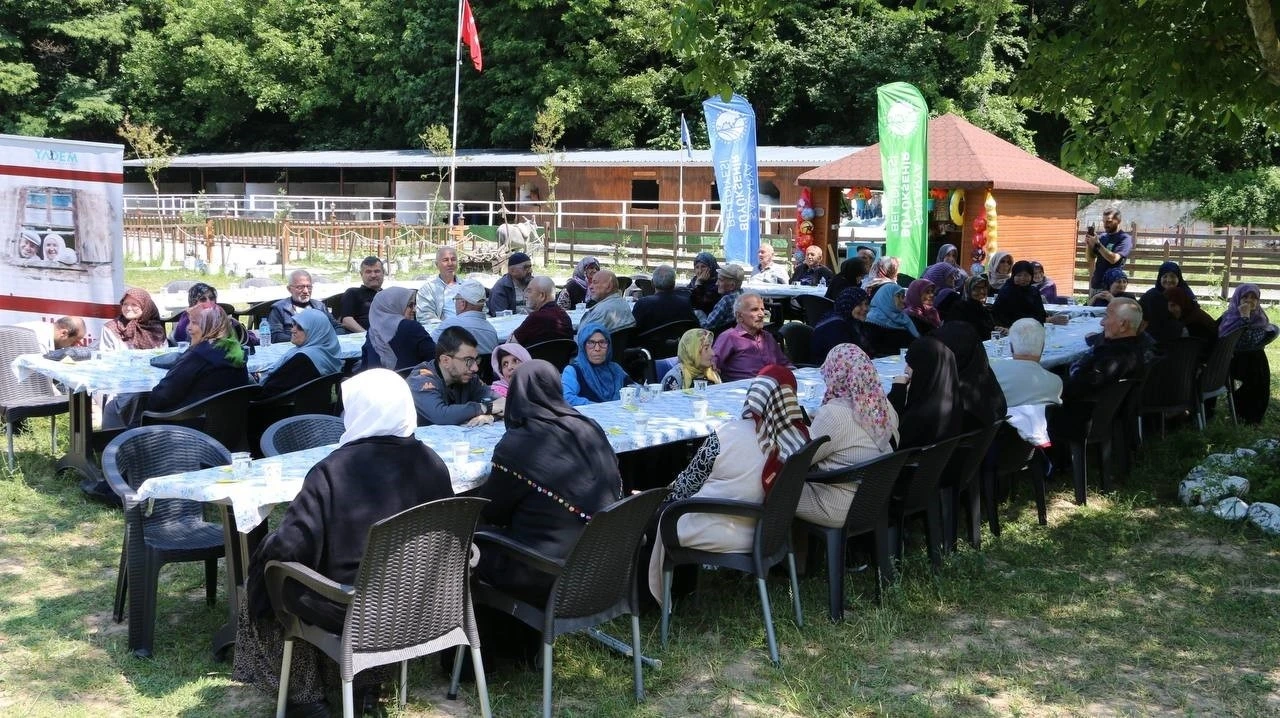 Geyveli çınarlar YADEM’le doğayı tüm güzelliğiyle teneffüs etti
