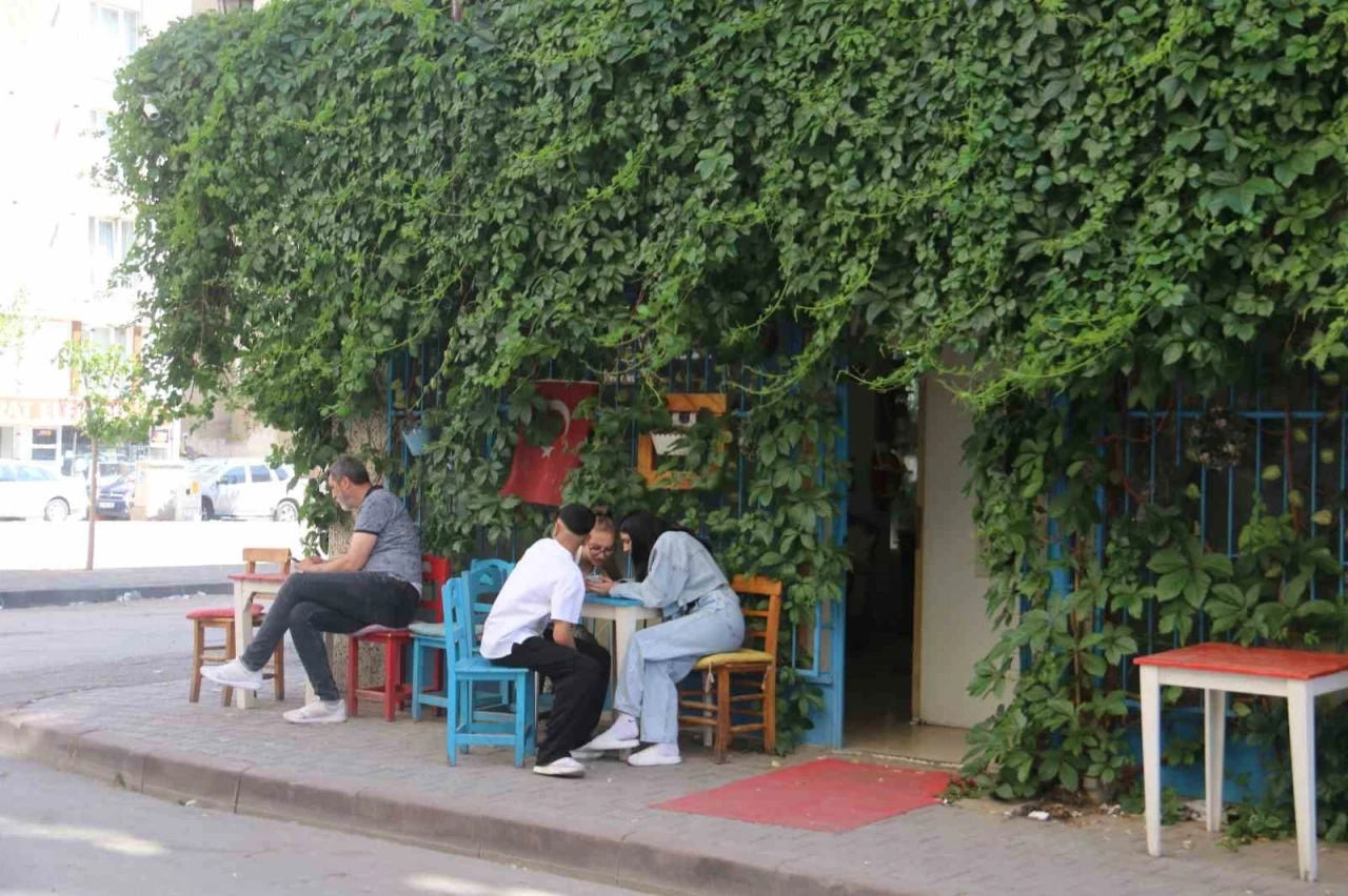 Gidenler bulmakta zorlanıyor, sarmaşık kaplı kafe dikkat çekiyor
