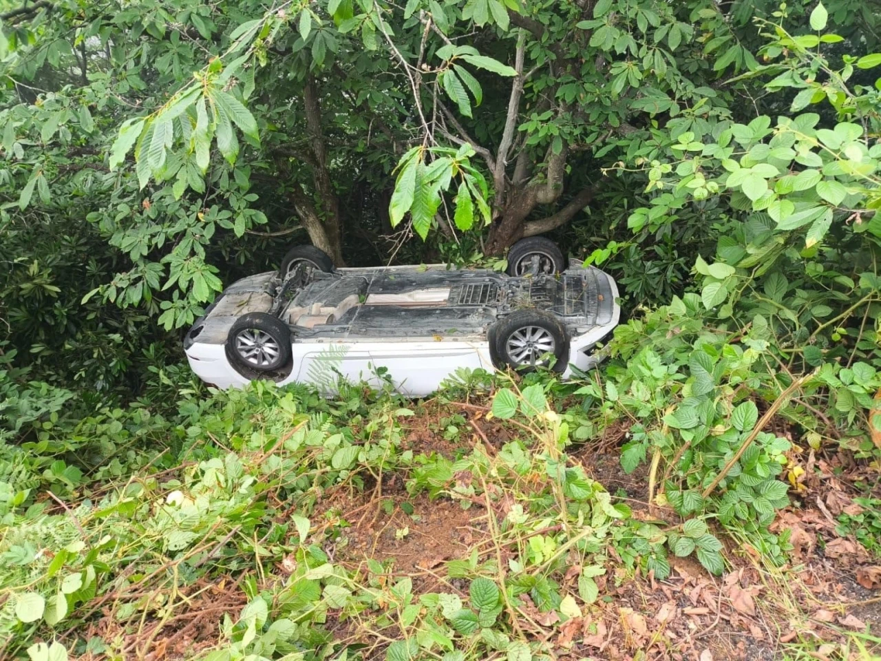 Giresun’da otomobil şarampole devrildi: 6 yaralı
