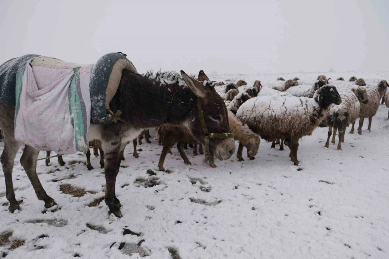 Göçerler kara yaylada yakalandı
