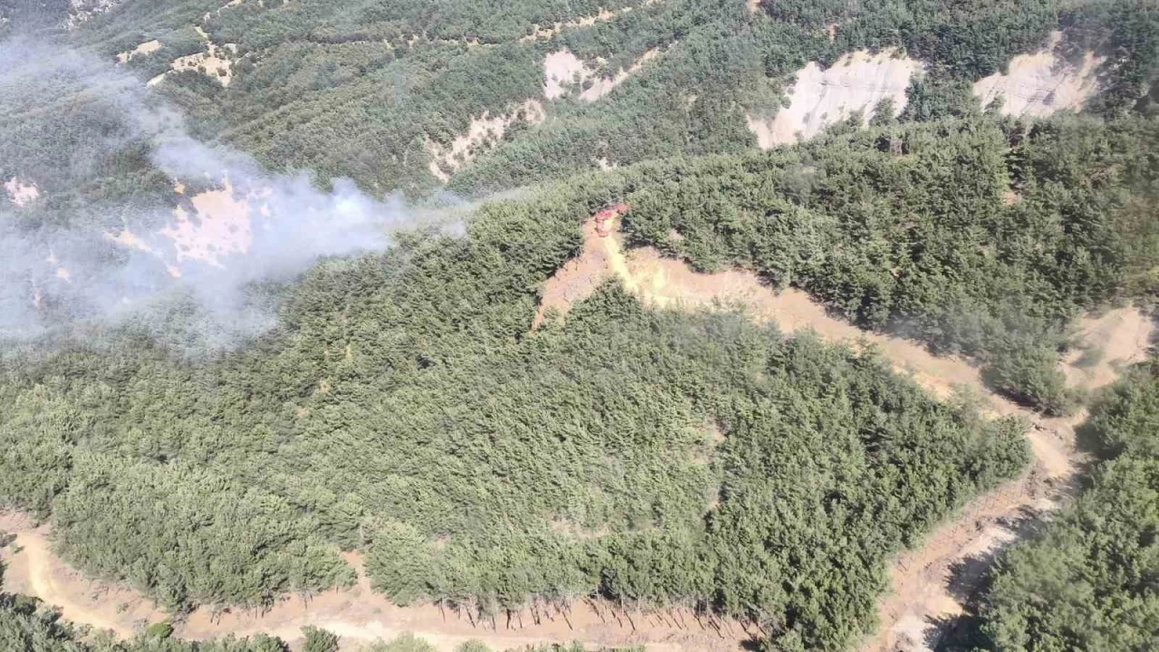 Gökçeada’da orman yangını
