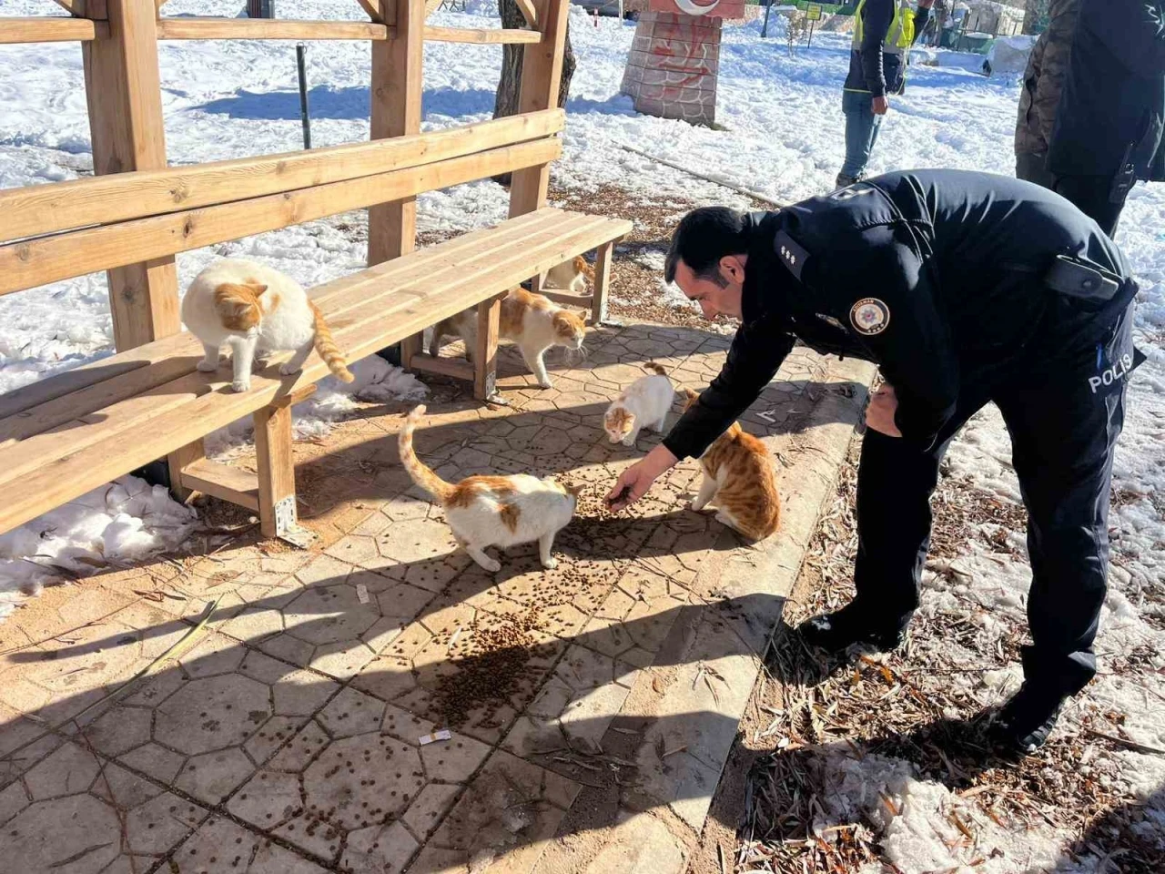 G&ouml;lbaşı il&ccedil;esinde polisler sokak hayvanları i&ccedil;in mama bıraktı
