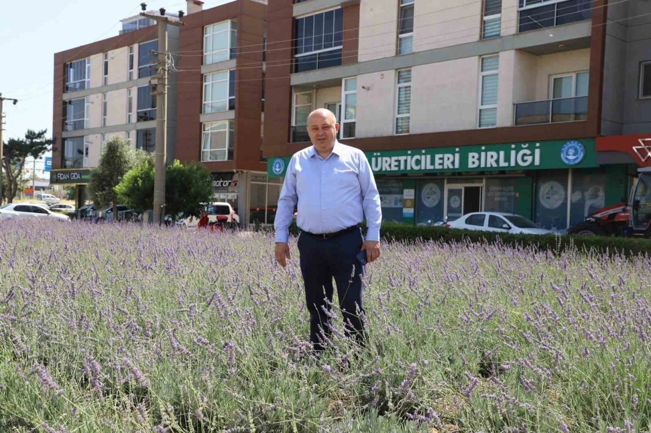 Gönen’de biyogaz tesisine &quot;ÇED olumlu&quot; kararı
