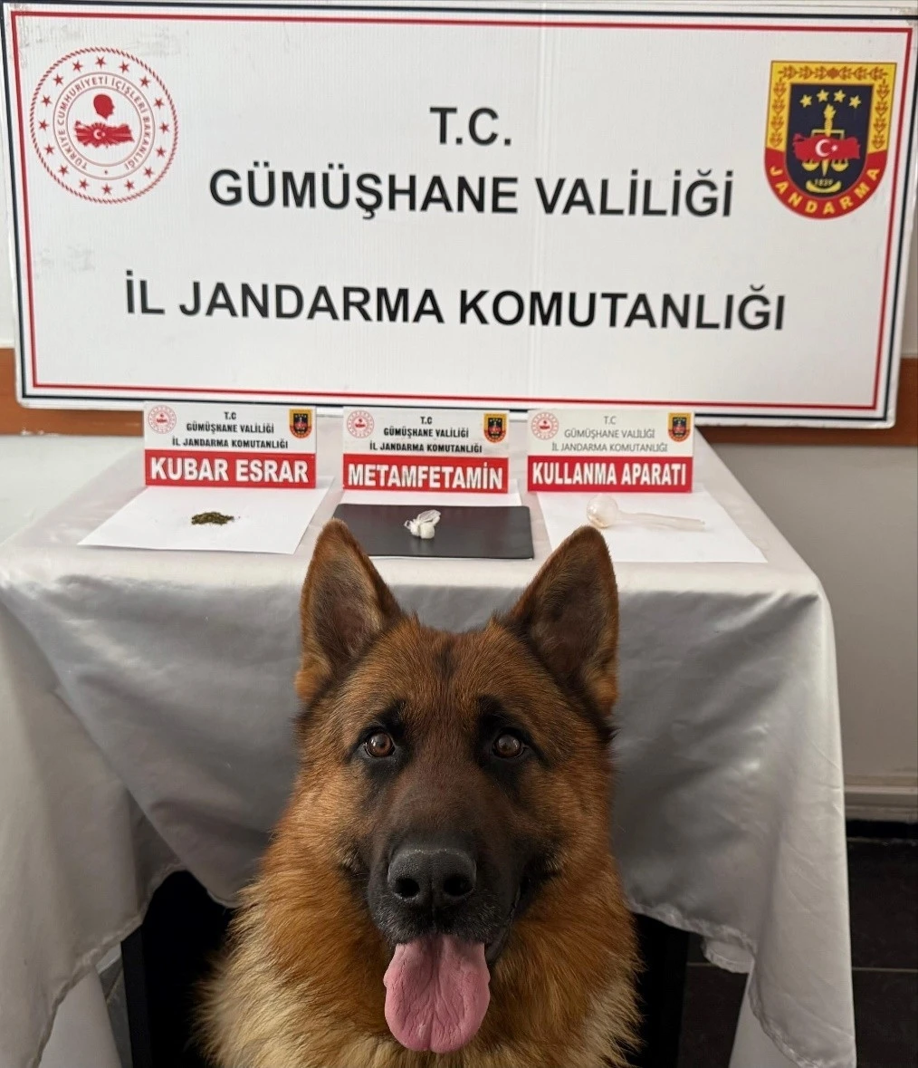 Gümüşhane’de uyuşturucu operasyonu
