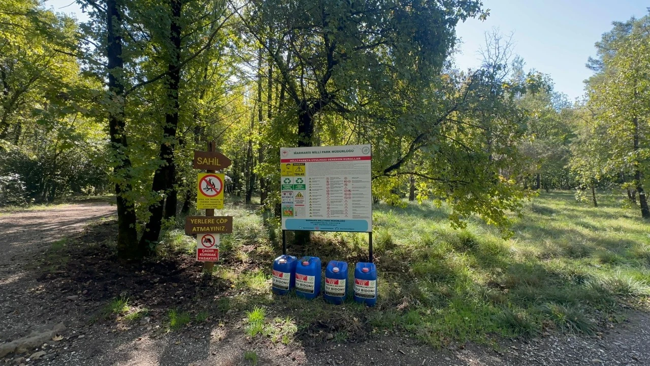 Günnücek ormanı’nda yangın riskine karşı önlem