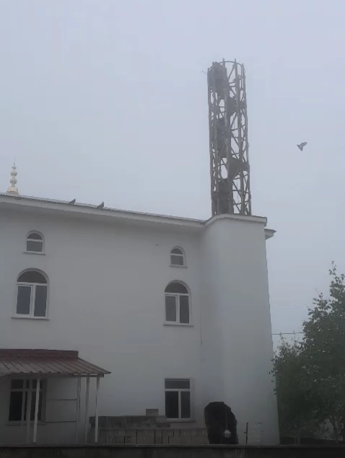 G&uuml;vercin yuvası minare yıkımını erteledi
