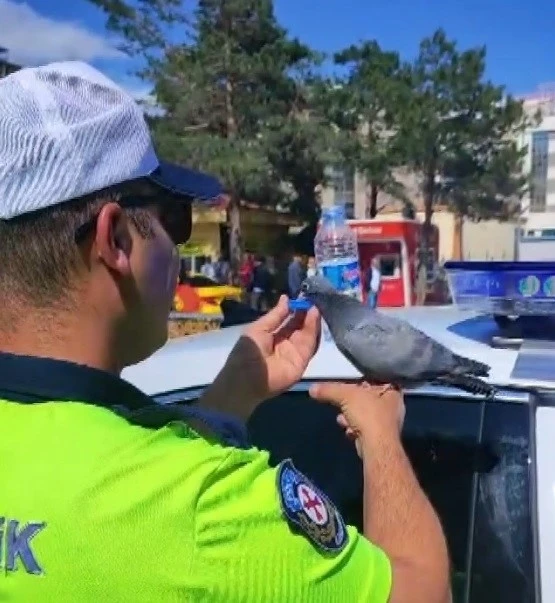 Güvercine su içiren trafik polisi merhametiyle yürekleri ısıttı
