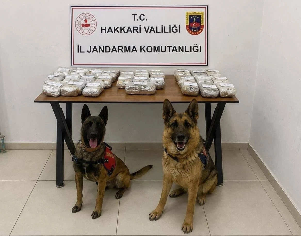 Hakkari&rsquo;de 21 kilo 650 gram toz esrar ele ge&ccedil;irildi
