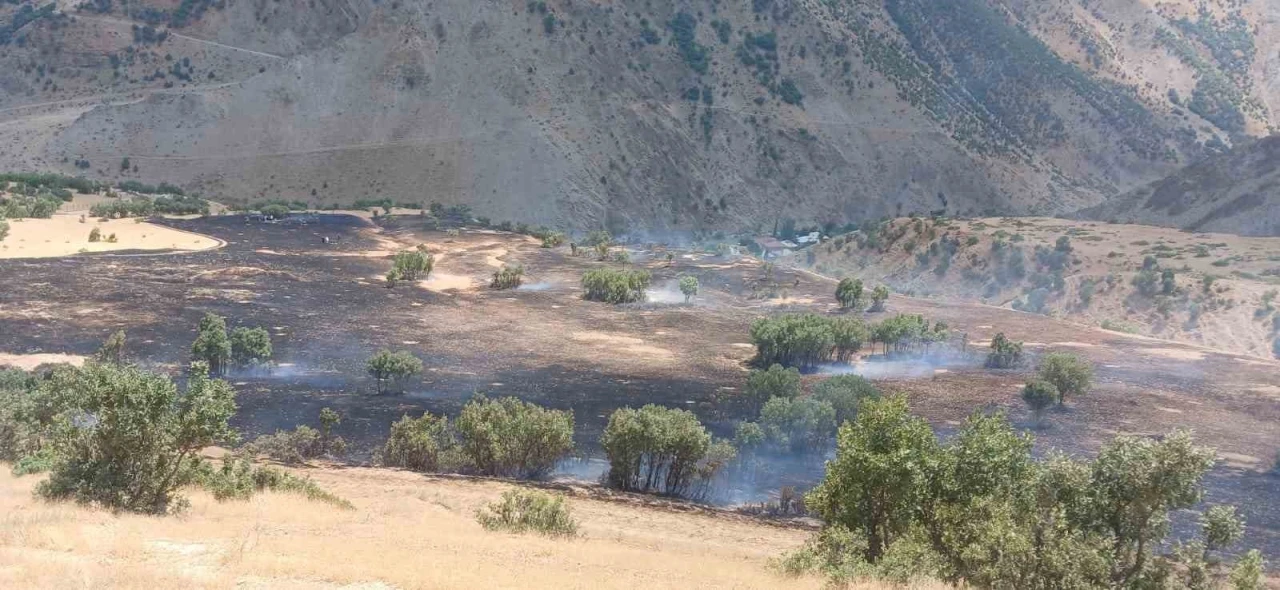 Hakkari’de anız yangını
