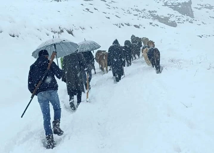 Hakkari&rsquo;de dağda mahsur kalan s&uuml;r&uuml; kurtarıldı
