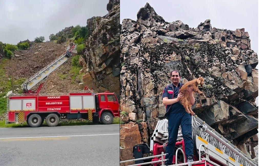 Hakkari’de kayalıklarda mahsur kalan keçi yavrusu kurtarıldı
