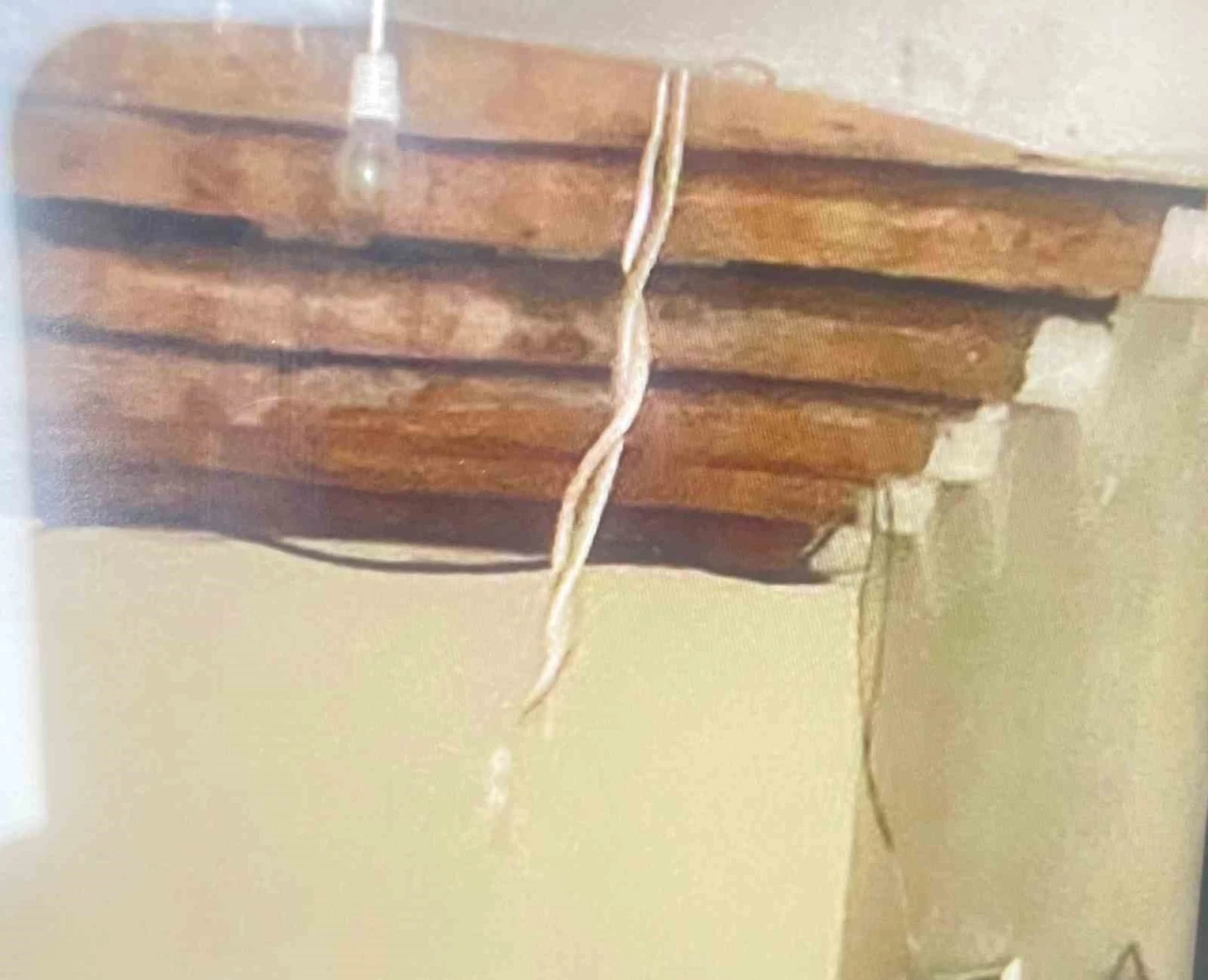 Hakkari&rsquo;de yılan paniği
