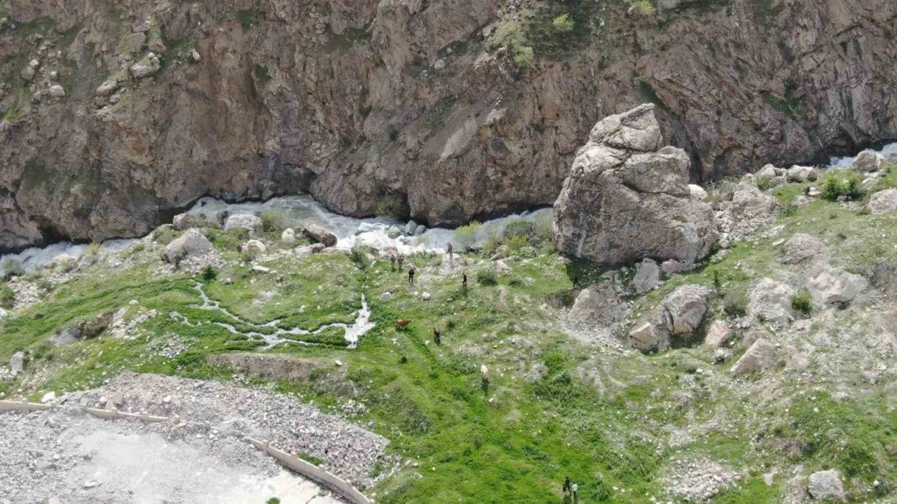 Hakkari Emniyeti, Feleknaz Keskin için arama çalışmalarını yeniden başlattı
