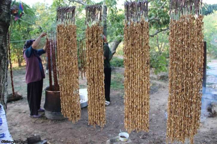 Halkapınar&rsquo;da cevizli bandırma mesaisi başladı
