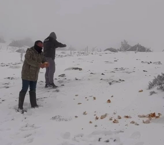 Halkapınar&rsquo;da kar yağışı etkili oluyor
