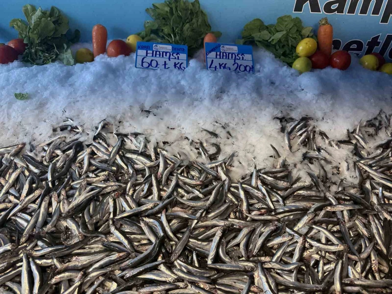 Hamsi fiyatı yüzleri güldürdü, kilosu 60 liraya düştü