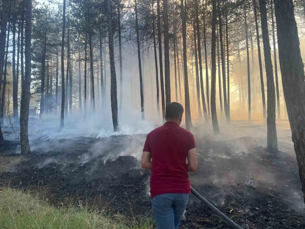 Hanönü’de çıkan orman yangını söndürüldü
