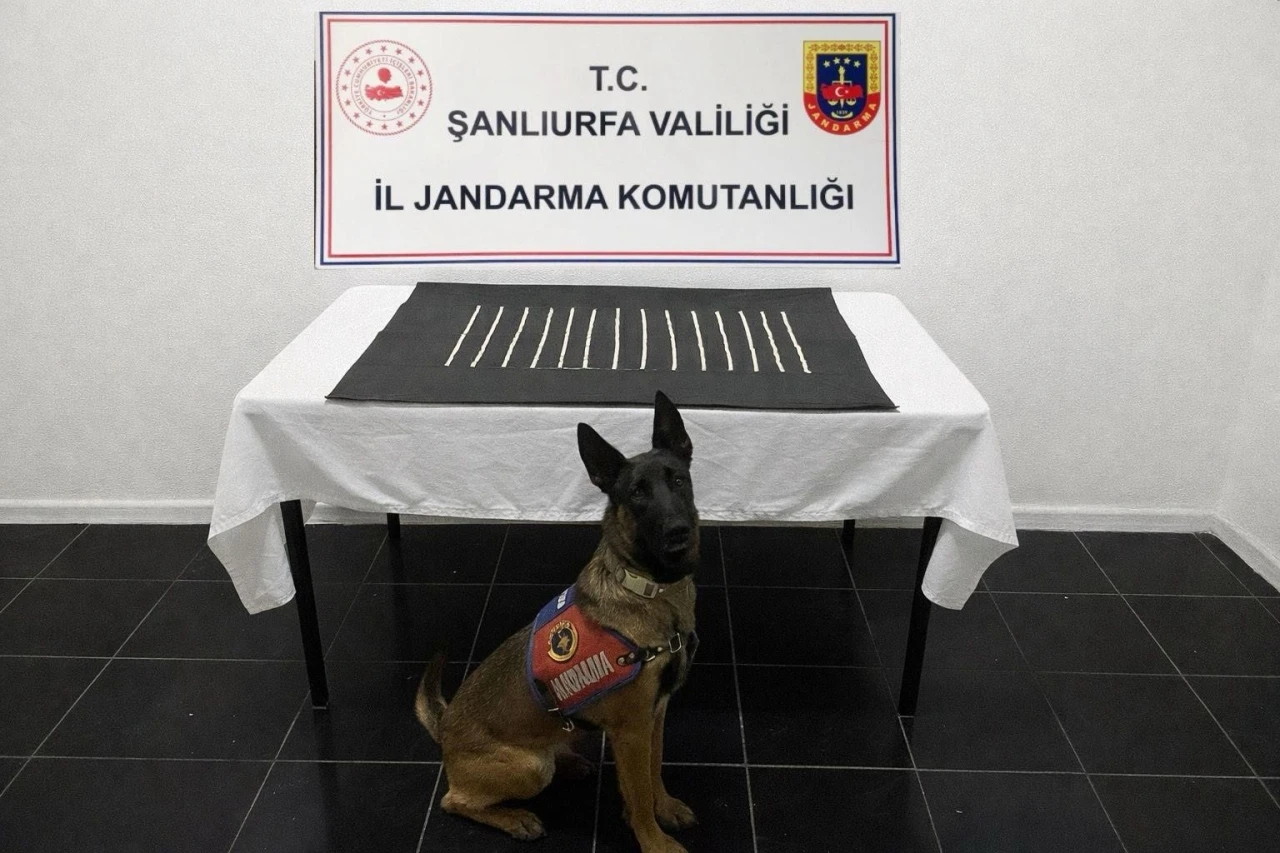 Harran&rsquo;da uyuşturucu operasyonu: 2 g&ouml;zaltı
