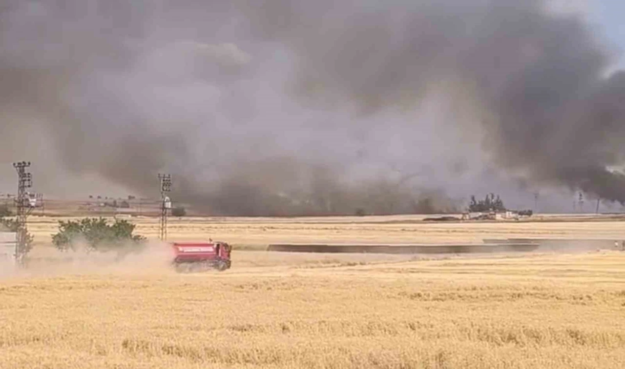 Harran&rsquo;da y&uuml;zlerce d&ouml;n&uuml;ml&uuml;k ekili arazi yandı
