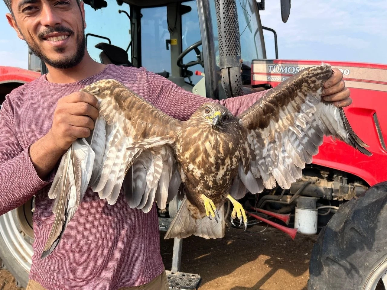 Hasadı bıraktı şahinin yardımına koştu
