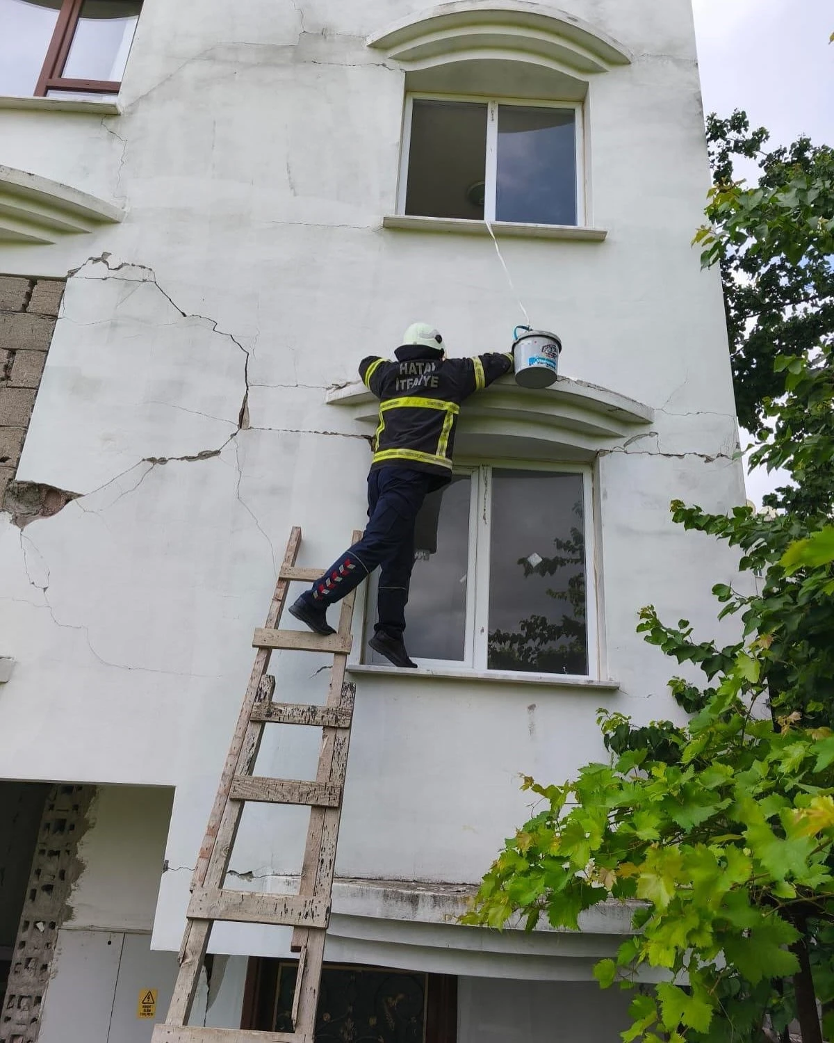 Hasarlı binada kedi kurtarma operasyonu

