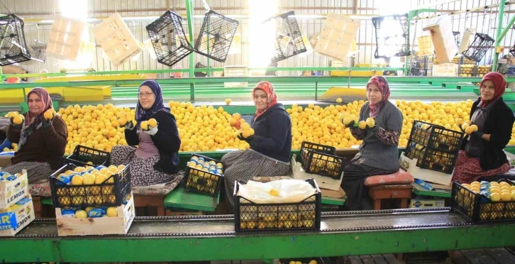 Hasattan paketlemeye her alanda kadınlar mesaide
