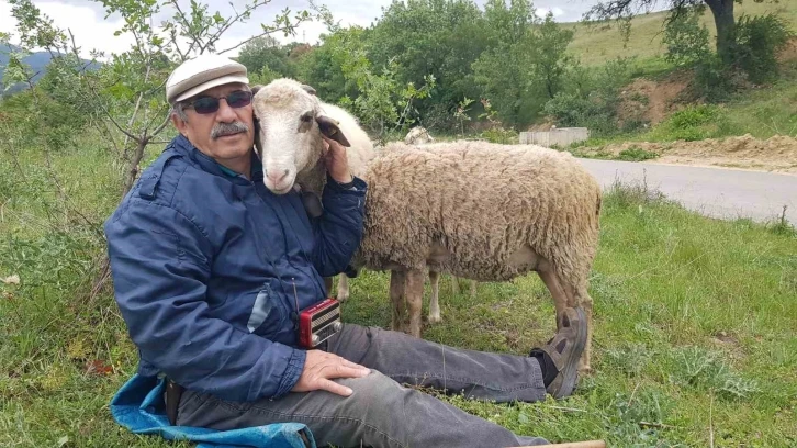 Hastalık sonrası aldığı küçükbaş hayvanlarla yeniden hayata bağlandı
