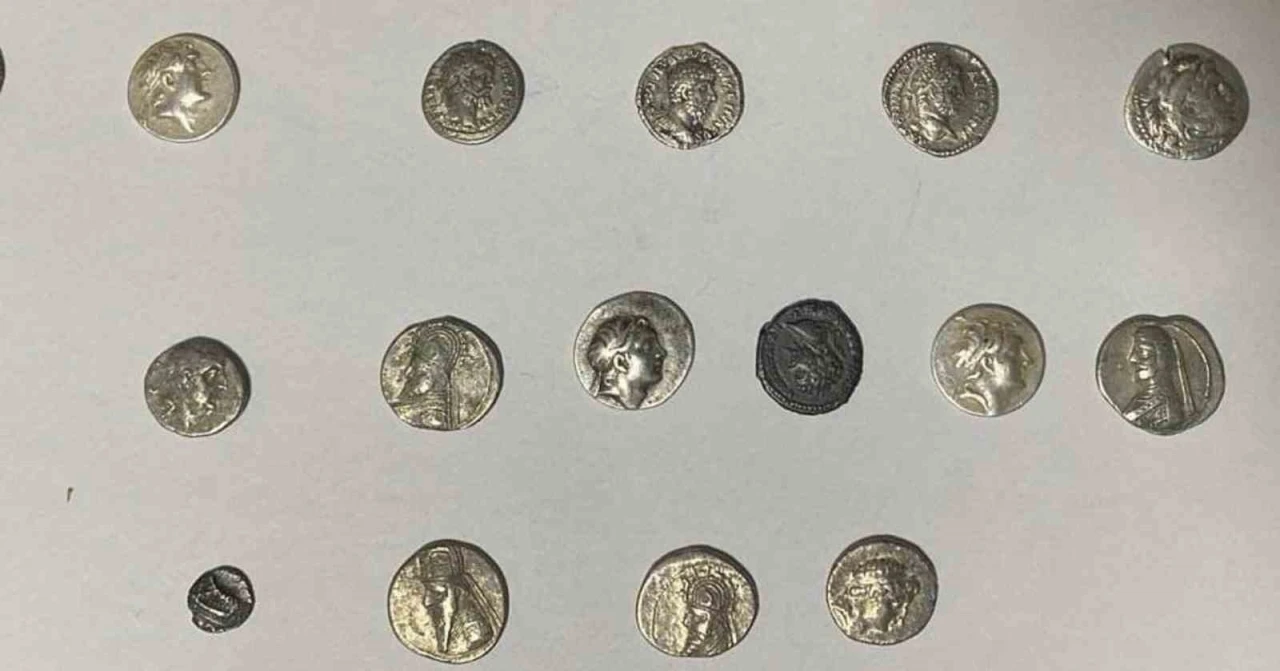 Hatay’da 26 sikke kargo ile göndermek üzereyken ele geçirildi
