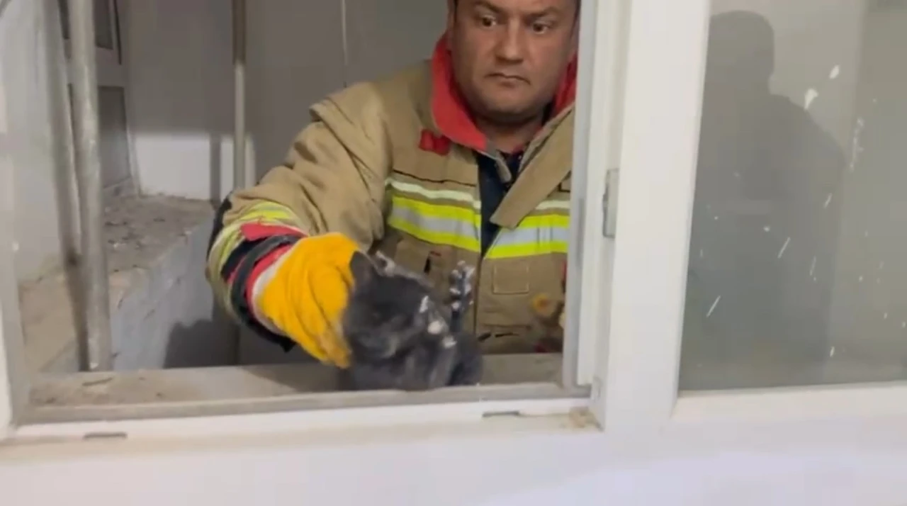 Hatay&rsquo;da havalandırma boşluğuna d&uuml;şen yavru kedi kurtarıldı
