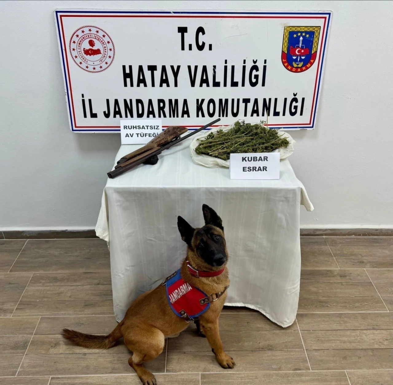 Hatay’da Jandarma’dan uyuşturucu ve kaçakçılık operasyonu; 25 gözaltı